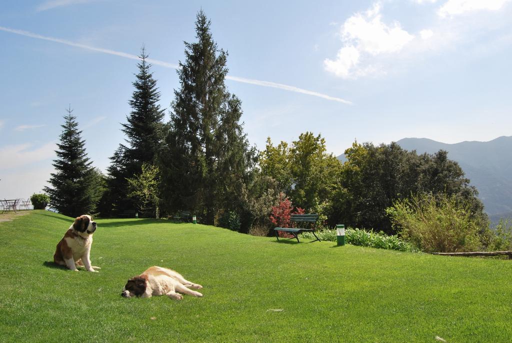 Husa Sant Bernat Montseny Cameră foto